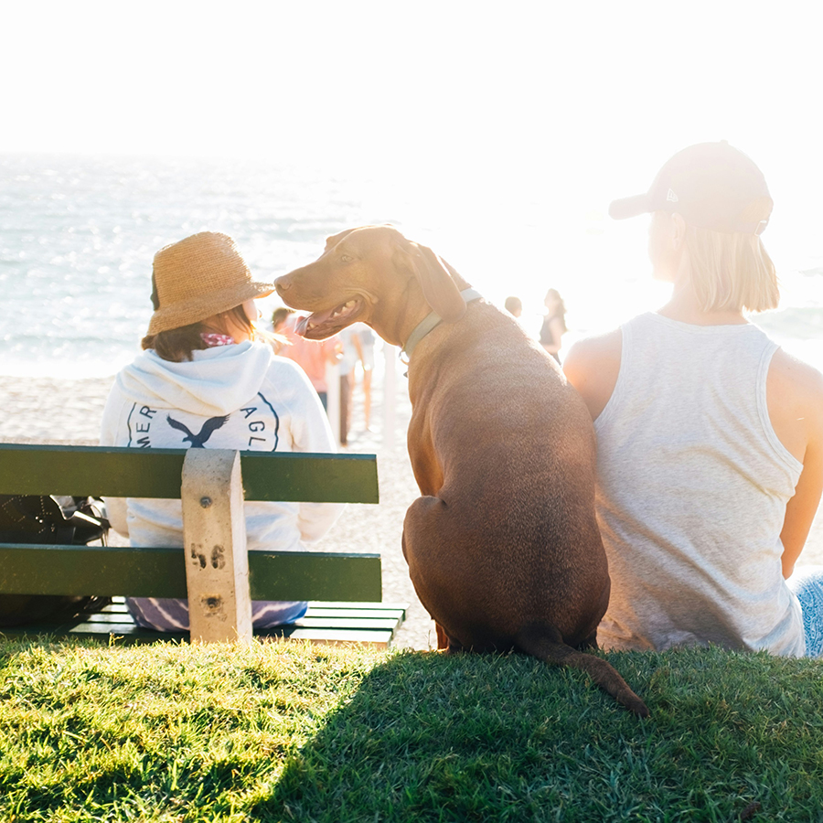 ライフスタイル