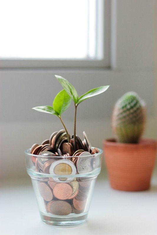 硬貨の詰まった瓶から伸びる新芽